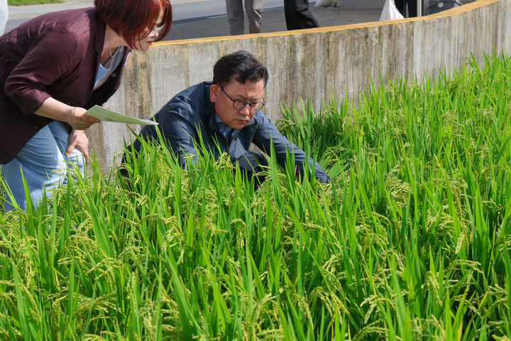 [세종=뉴시스] 이승돈 농촌진흥청장이 27일 경남 고성군 상리면 일대 벼 재배단지에서 병해충 예찰 및 방제 상황을 점검하고 있다. (사진=농촌진흥청 제공) *재판매 및 DB 금지