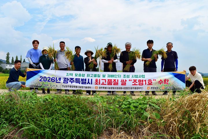 [전남광주=뉴시스] 27일 전남광주 광산구 본량동 지역 맞춤형 최고품질 쌀 재배단지에서 광주 대표 쌀 '조명1호'를 첫 수확하는 모습. (사진=전남광주시 제공) 2026.08.27. photo@newsis.com *재판매 및 DB 금지
