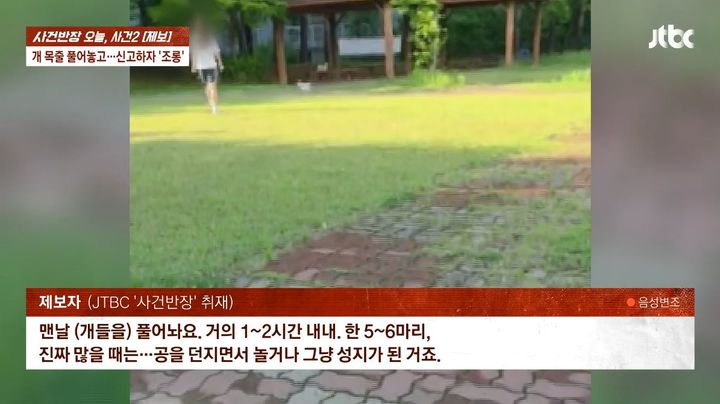 [서울=뉴시스] 공원에서 강아지를 목줄 없이 풀어놓은 견주들을 신고했다가 보복성 조롱을 당했다는 사연이 화제가 됐다. (사진=JTBC 사건반장 캡처)