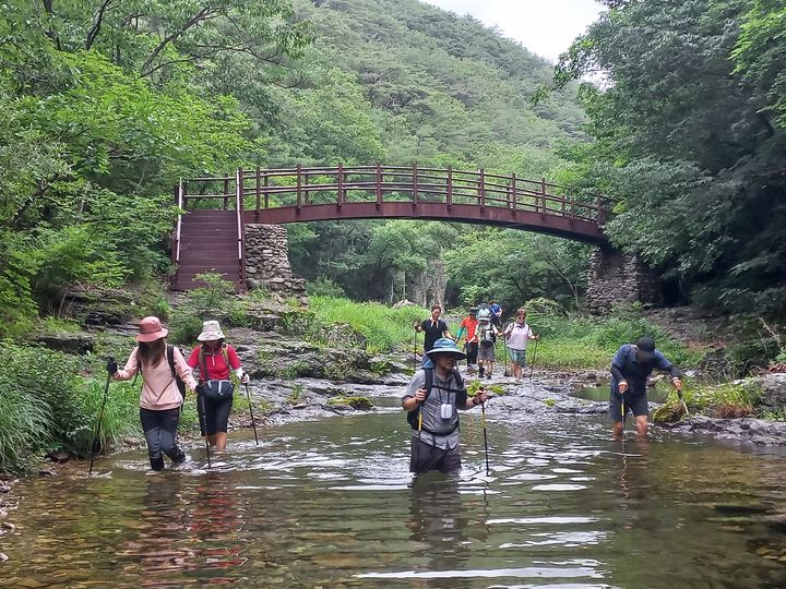 [청송=뉴시스] 주왕산 절골계곡에서 '첨벙 트레킹'이 진행되고 있다. (사진=주왕산국립공원사무소 제공) 2026.08.28. photo@newsis.com *재판매 및 DB 금지