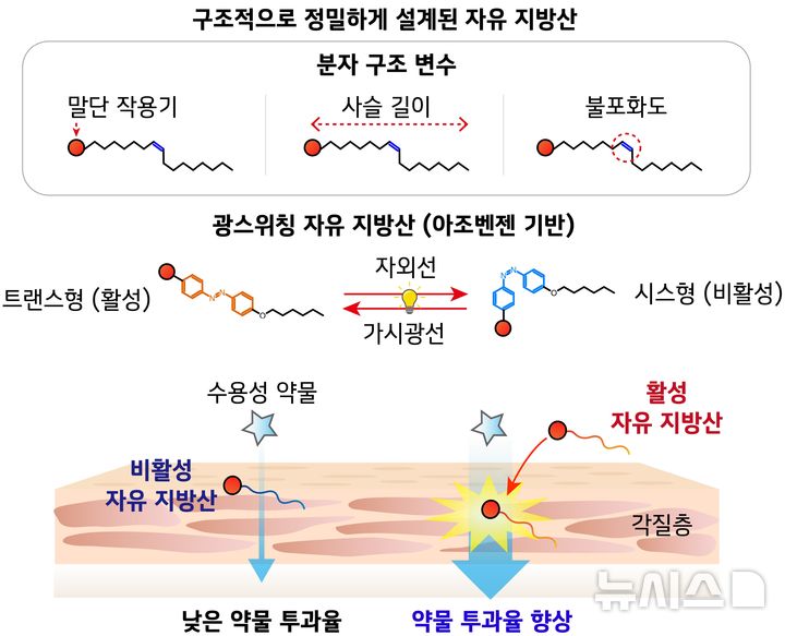 [포항=뉴시스] 포스텍-KAIST 공동 연구팀이 주사 대신 약을 피부에 바르는 방식으로 몸속에 약물을 전달하는 길을 규명했다. 사진은 연구팀이 개발한 광스위칭 지방산. (사진=포스텍 제공) 2026.08.28. photo@newsis.com