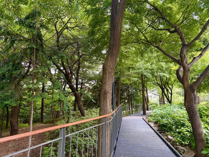 [서울=뉴시스] 성북구, 오동근린공원 무장애데크 자락길 정비 완료…8월 30일부터 전면 개방. (사진=성북구 제공) 2026.08.28. photo@newsis.com *재판매 및 DB 금지