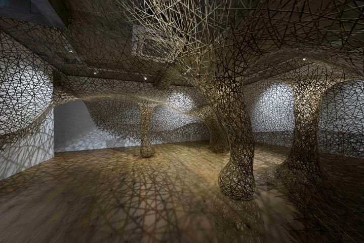 《다나베 치쿤사이 4세 비가시의 숲(Tanabe Chikuunsai IV INVISIBLE FOREST)》 전시 전경, 유메코보 갤러리, 2026. [사진 고정균, 프리즈 하우스 서울 제공] 1 *재판매 및 DB 금지