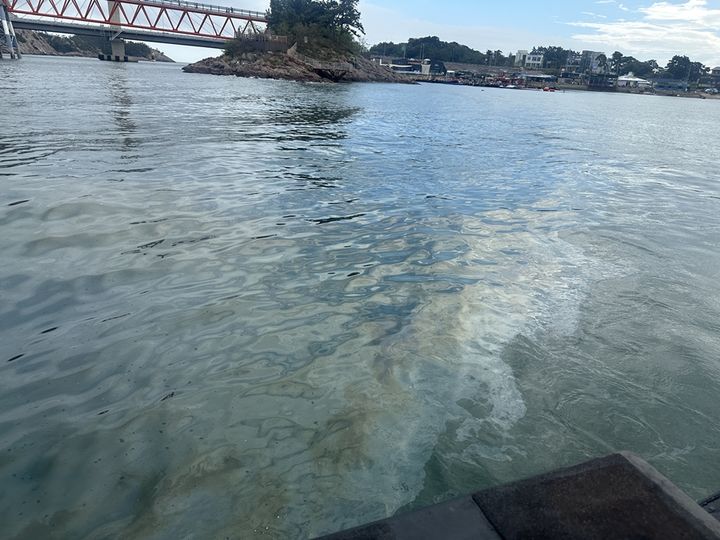 [군산=뉴시스] 지난 28일 전북 군산시 장자대교 인근 해상에 발생한 유막 모습. (사진=군산해양경찰서 제공) 2026.08.29. photo@newsis.com *재판매 및 DB 금지