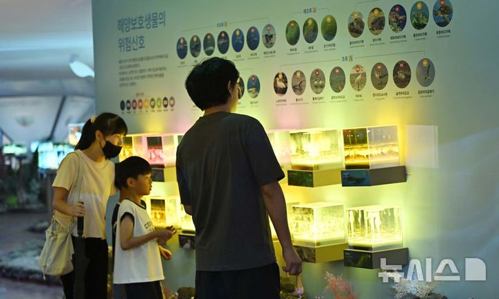 [여수=뉴시스] 양시원 기자 = 2026여수세계섬박람회 개막을 일주일여 앞둔 29일 전남광주 여수시 돌산읍 여수세계섬박람회 주행사장에서 프리뷰데이가 열려 시민들이 전시관을 둘러보고 있다. 2026.08.29. goodwrite97@newsis.com 