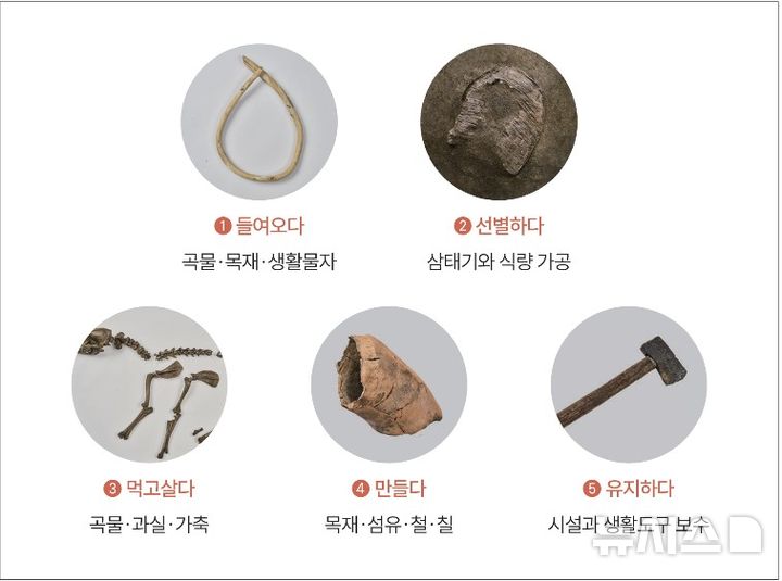[서울=뉴시스] 충주 장미산성 출토 유물로 보는 백제인 생활 (사진=6차 발굴조사 성과자료집 갈무리) 2026.09.01. photo@newsis.com