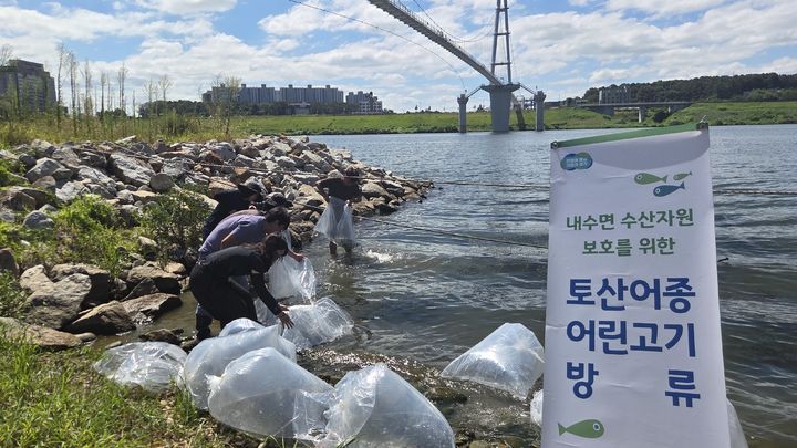 경기도, 강·하천 10곳에 토산어종 총 59만 마리 방류