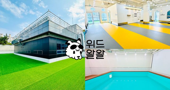 [부산=뉴시스] 부산 강아지 유치원 위드왈왈 해운대점. (사진=위드왈왈 제공) 2026.09.01. photo@newsis.com *재판매 및 DB 금지