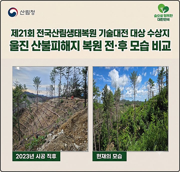 산불 피해목, 숲 복원 재활용...산림생태복원 대상 수상 - 뉴스 썸네일 이미지