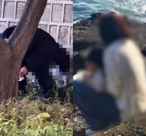 [서울=뉴시스]한라산, 경복궁, 용머리해안에서 관광객의 이른바 '대변 테러'가 잇따르면서 시민들이 불편을 호소했다.2025.11.24.(사진=소셜미디어 및 목격자 게시글 캡처)