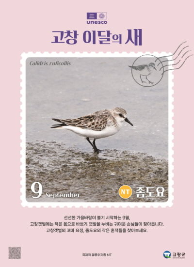  *재판매 및 DB 금지