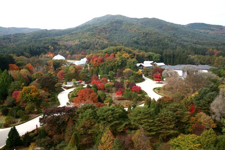 [대전=뉴시스] 세계 보호·보전지역 데이터베이스에 OECM으로 공식 등재된 광릉숲 전경.(사진=산림청 제공) *재판매 및 DB 금지