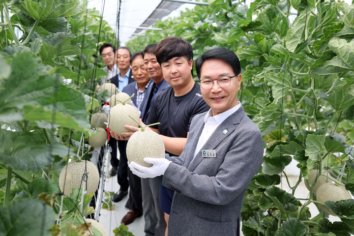 [고창=뉴시스] 고창군 청년스마트팜단지의 첫 멜론 수확현장, 심덕섭 군수(첫번째)와 단지 청년농(두번째), 박성만 군의장(세번째) 등이 멜론의 첫 수확을 기념하면 사진을 찍고 있다. *재판매 및 DB 금지