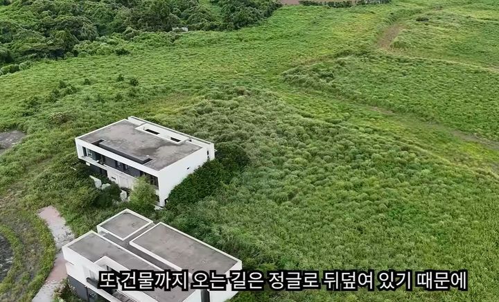 [서울=뉴시스]유튜브 채널 '강호의발바닥TV'는 현장 영상을 통해 제주의 치안 문제와 방치된 개발 부지의 실태를 조명했다. 사진 '강호의발바닥TV' 영상 캡처 *재판매 및 DB 금지