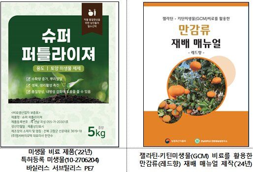 [세종=뉴시스] 농림식품기술기획평가원은 제주 만감류 농가 등에서 현장 적용 가능성을 확인했다며 2일 이같이 밝혔다. (사진=농기평 제공) 2026.09.02. photo@newsis.com *재판매 및 DB 금지