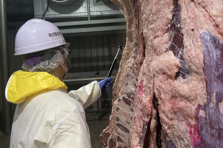 [전남광주=뉴시스] 전남광주통합특별시 광주보건환경연구원은 추석 명절을 앞두고 광주권 포유류 도축장 2곳에서 특별 위생관리를 펼친다고 3일 밝혔다. (사진=전남광주시 제공) 2026.09.03. photo@newsis.com *재판매 및 DB 금지