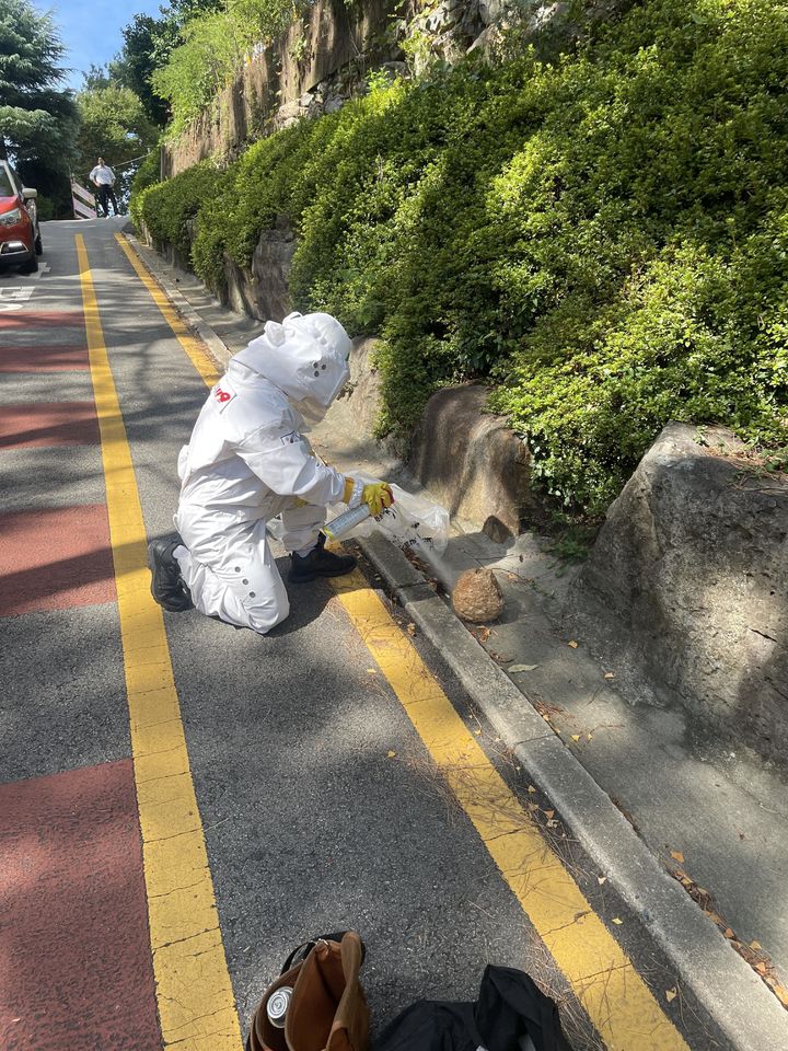 [부산=뉴시스] 소방관이 벌집을 제거하고 있다. (사진=부산소방재난본부 제공) 2026.09.03. photo@newsis.com *재판매 및 DB 금지