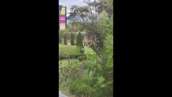 [서울=뉴시스] 김선우 인턴기자 = 한 남성이 대전 한화 볼파크 인근 공원에서 골프 연습을 하고 있다. (사진 출처=온라인 커뮤니티 '보배드림') *재판매 및 DB 금지 *재판매 및 DB 금지
