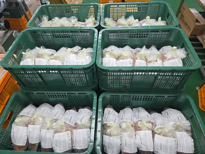 [전남광주=뉴시스] 전남광주통합특별시는 지역 기업 3곳이 생산한 김치가 미국 로스엔젤레스 수출길에 올랐다고 3일 밝혔다. (사진=전남광주시 제공) 2026.09.03. photo@newsis.com *재판매 및 DB 금지