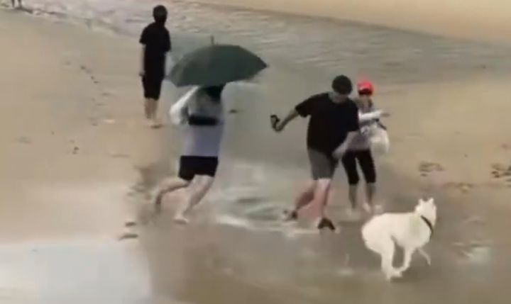 사진 SNS캡처 *재판매 및 DB 금지