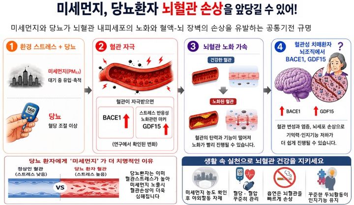[세종=뉴시스]질병관리청 국립보건연구원은 당뇨가 있는 경우 초미세먼지 노출에 따른 뇌혈관 기능 이상이 더욱 뚜렷하게 나타날 수 있음을 확인했다고 밝혔다. (사진=국립보건연구원 제공) 2026.09.04. photo@newsis.com *재판매 및 DB 금지