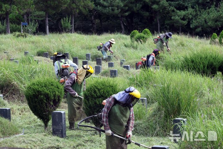  [부산=뉴시스] 하경민 기자 = 추석을 앞두고 4일 부산 금정구 영락공원에서 부산시설공단 관계자들이 대대적인 벌초작업을 하고 있다. 2026.09.04. yulnetphoto@newsis.com