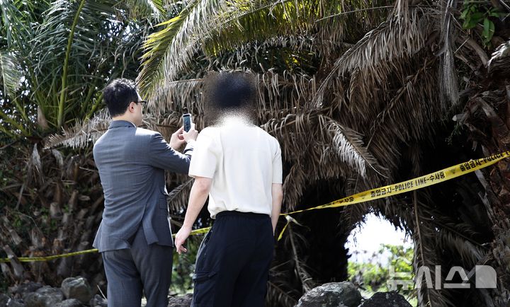 [제주=뉴시스] 우장호 기자 = 경찰청은 실종수사 개선대책이 시행된 지난달 24일부터 이달 13일까지 3주간 실종자 발견 건수는 1만2793건으로 집계됐다고 22일 밝혔다. 시행 직전인 지난달 3일부터 23일까지 7768건과 비교하면 64.7% 늘었다. 사진은 지난 4일 오후 제주시 한림읍의 한 야자수 농장에 실종 신고 101일 만에 시신으로 발견된 장모(30대·여)씨의 유족이 찾아와 현장을 둘러보고 있는 모습. 2026.09.04. woo1223@newsis.com