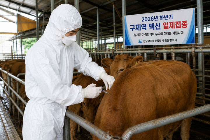 [전남광주=뉴시스] 전남광주통합특별시는 9월 한 달 동안 지역 축산 농가 사육 소·염소 73만여 마리에 구제역 백신 일제접종을 한다고 5일 밝혔다. (사진=전남광주시 제공) 2026.09.05. photo@newsis.com *재판매 및 DB 금지