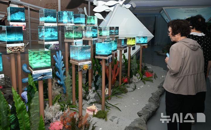 [여수=뉴시스] 이현행 기자 = 5일 오후 전남광주 여수시 돌산읍 진모지구에서 개막한 여수세계섬박람회장 해양생태섬에 관람객의 발길이 이어지고 있다. 2026.09.05. lhh@newsis.com
