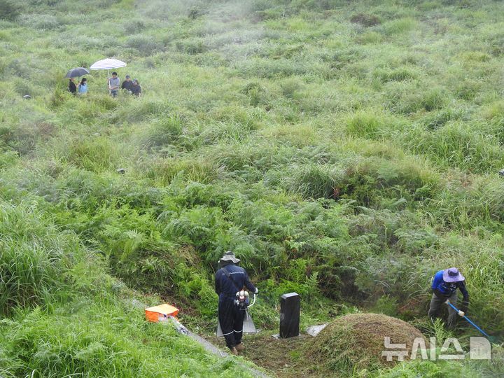 [제주=뉴시스] 김수환 기자 = 6일 오전 제주시 연동 어승생공설묘지에서 성묘객들이 벌초를 하고 있다. 2026.09.06. notedsh@newsis.com