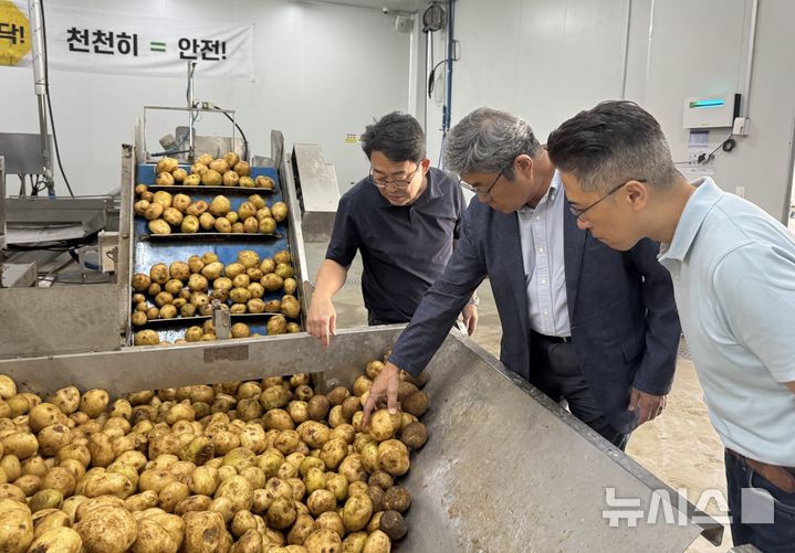 [세종=뉴시스]한국농수산식품유통공사(aT)는 7일 강원특별자치도 평창군농업기술센터에서 '2026년산 고랭지감자 창고수매 입찰 설명회'를 열고 주요 재배지역의 생육상황을 점검했다.(사진=aT 제공)