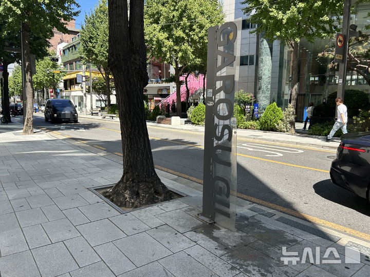 [서울=뉴시스] 이지우 인턴기자=서울의 대표 명소였던 신사동 가로수길이 침체된 분위기에 빠졌다. 2026.09.07. *재판매 및 DB 금지