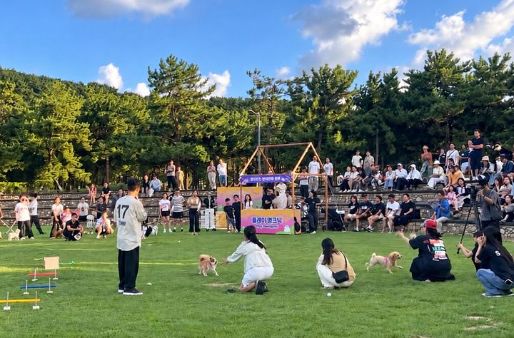 [부산=뉴시스] 지난 4일 다대포 '별바다부산 나이트 뮤직 캠크닉' 현장. (사진=부산관광공사 제공) 2026.09.08. photo@newsis.com *재판매 및 DB 금지