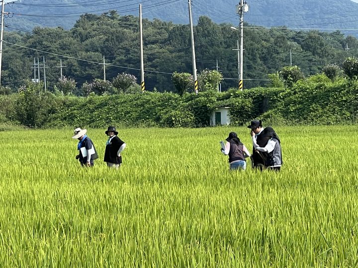 [세종=뉴시스]농촌진흥청이 전북 남원에서 3차 합동 예찰을 진행하고 있다. (사진=농진청 제공) *재판매 및 DB 금지