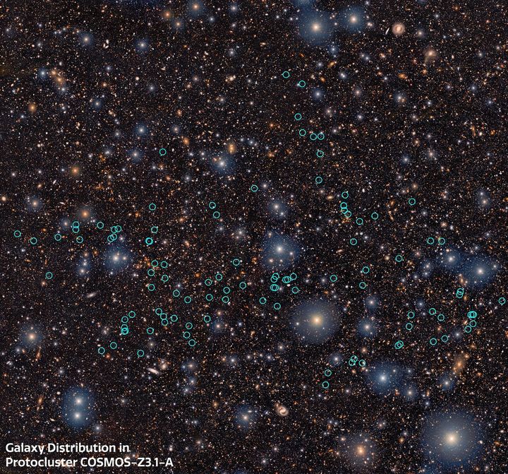 [서울=뉴시스] 윤현성 기자 = 새로 발견된 원시 초은하단(COSMOS-z3.1-A)에 속한 은하들을 표시한 이미지. 후속 분광 관측을 통해 측정한 정확한 거리 정보를 바탕으로, 해당 원시 초은하단에 포함되는 은하들을 하늘색 원으로 표시했다. (사진=한국천문연구원 제공) 2026.09.09. hsyhs@newsis.com *재판매 및 DB 금지