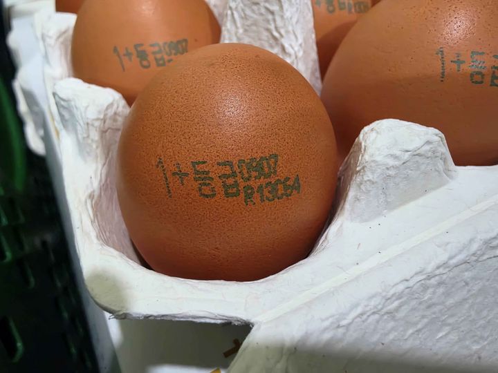 [세종=뉴시스] 품질 등급이 표시된 계란 껍데기. (사진=축산물품질평가원 제공) *재판매 및 DB 금지