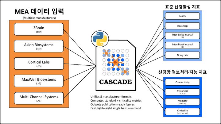 [대전=뉴시스] 제조사별 MEA 데이터를 통합해 신경망 정보처리 능력까지 분석할 수 있는 'CASCADE' 개요도.(사진=KIT 제공) *재판매 및 DB 금지