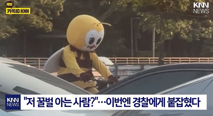 [서울=뉴시스]최근 파주와 일산 일대에서 꿀벌 인형탈을 쓴 사람이 목격되면서 화제가 되고 있다. (사진=KNN 캡처) 2026.09.09