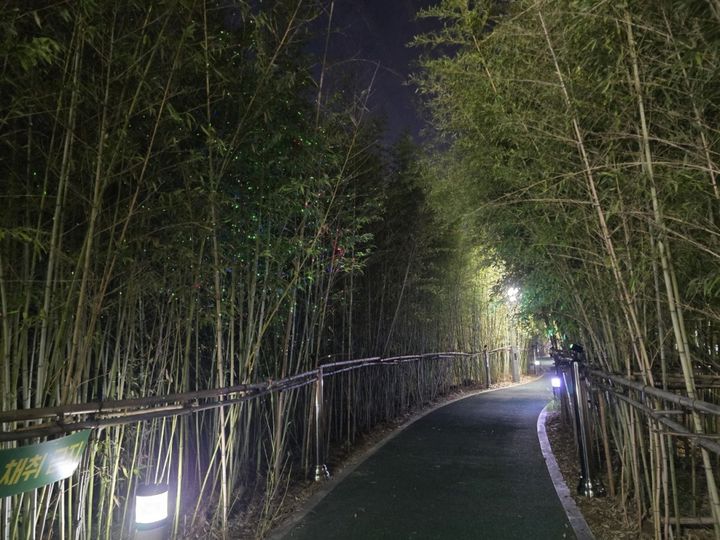 [양산=뉴시스] 양주 대나무숲길 반딧불 조명. (사진=양산시 제공) 2026.09.10. photo@newsis.com *재판매 및 DB 금지