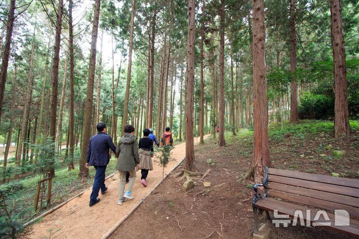 [장흥=뉴시스] 장흥군 장흥읍 우산리에 위치한 '정남진 편백숲 우드랜드'를 산책하는 관광객들. (사진=장흥군 제공) 2026.09.10. photo@newsis.com 