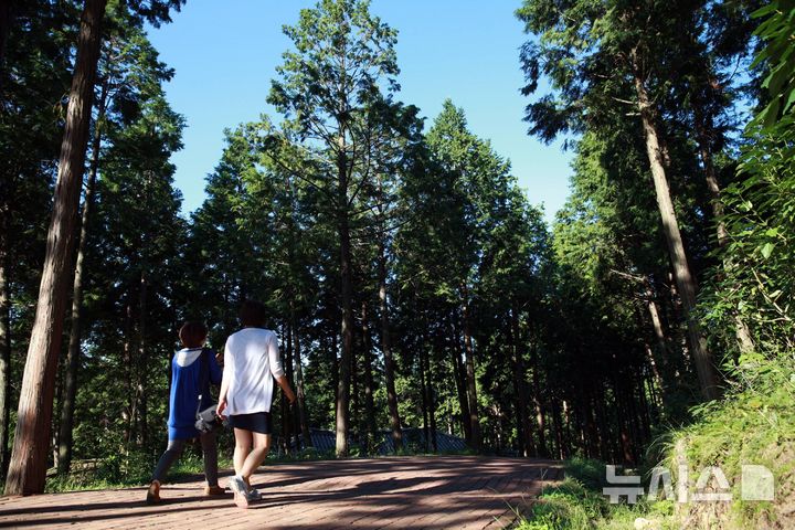 [장흥=뉴시스] 장흥군 장흥읍 우산리에 위치한 '정남진 편백숲 우드랜드'를 산책하는 관광객들. (사진=장흥군 제공) 2026.09.10. photo@newsis.com 