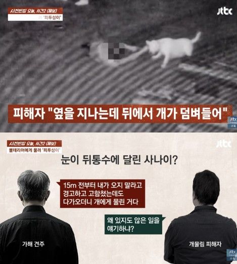 [서울=뉴시스] 산책하던 50대 남성이 불테리어에게 공격당해 6차례 수술을 받았다. (사진 출처=JTBC '사건반장' 캡처)