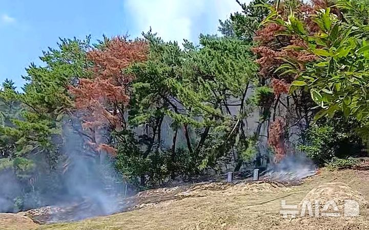 [대구=뉴시스] 대구시 당성군 옥포읍 강림리 야산 불. (사진=대구소방안전본부 제공) 2026.09.13. photo@newsis.com 