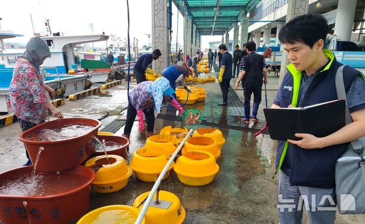 [포항=뉴시스] 포항시 수산물품질관리센터 직원이 추석을 앞두고 수산물의 생산·유통 단계의 안전성을 확인하고 있다. (사진=포항시 제공) 2026.09.13. photo@newsis.com