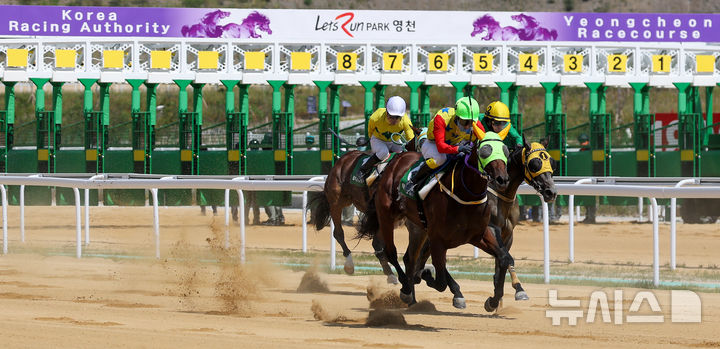 [영천=뉴시스] 이무열 기자 = 13일 경북 영천시 렛츠런파크 영천에서 열린 개장식에서 개장 기념 경주가 펼쳐지고 있다. 경북권 첫 경마공원인 렛츠런파크 영천은 과천, 제주, 부산경남에 이어 국내에서 네 번째로 조성된 경마공원이다. 2026.09.13. lmy@newsis.com