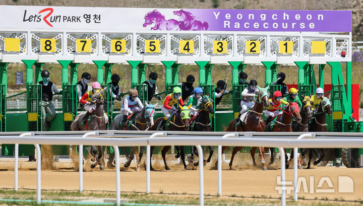 [영천=뉴시스] 이무열 기자 = 13일 경북 영천시 렛츠런파크 영천에서 열린 개장식에서 개장 기념 경주가 펼쳐지고 있다. 경북권 첫 경마공원인 렛츠런파크 영천은 과천, 제주, 부산경남에 이어 국내에서 네 번째로 조성된 경마공원이다. 2026.09.13. lmy@newsis.com