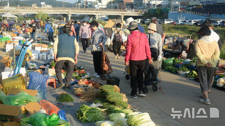 [전주=뉴시스] 김얼 기자 = 민족의 대명절인 추석을 앞둔 14일 전북 전주시 전주남부시장 인근 도깨비시장을 찾은 시민들이 제수용품을 구매하고 있다. 도깨비시장은 일반 전통시장과 다르게 이른 새벽부터 5~6시간 동안 장이 들어서는 모습을 보여 도깨비처럼 반짝 나타났다가 사라진다고 해서 붙은 이름이다. 2026.09.14. pmkeul@newsis.com