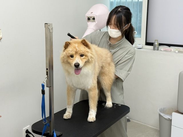 옥천군 청년창업 농어촌기본소득 가맹점 '멍마르'(사진=옥천군 제공) *재판매 및 DB 금지