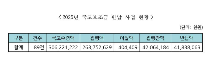[전남광주=뉴시스] 2025회계연도 광주광역시 국고 반납 사업 내역. (사진=전남광주시의회 결산 검토보고서 갈무리) 2026.09.14. photo@newsis.com *재판매 및 DB 금지