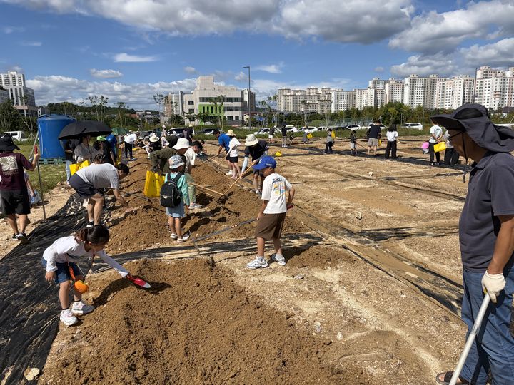 [안동=뉴시스] 경북도청신도시 2단계 사업지구의 유휴부지에 만들어진 텃밭. (사진=경북개발공사 제공) 2026.09.14. photo@newsis.com *재판매 및 DB 금지